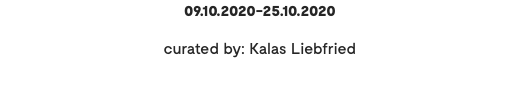 09.10.2020-25.10.2020 curated by: Kalas Liebfried 